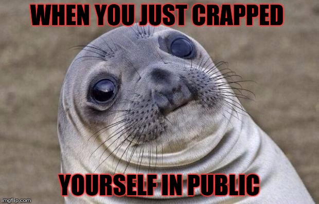 Awkward Moment Sealion | WHEN YOU JUST CRAPPED; YOURSELF IN PUBLIC | image tagged in memes,awkward moment sealion | made w/ Imgflip meme maker