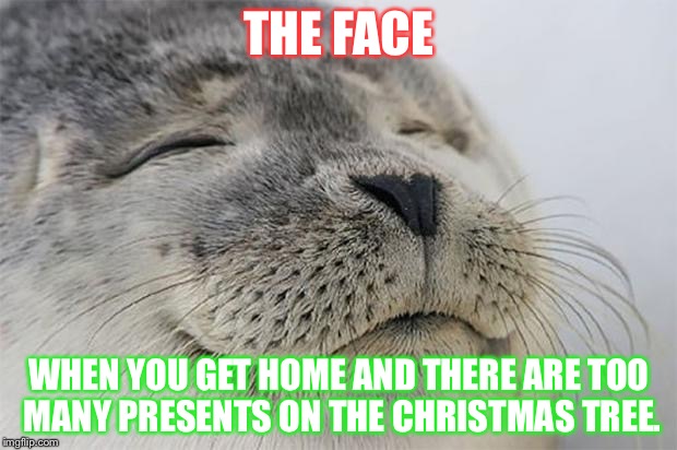 Satisfied Seal Meme | THE FACE; WHEN YOU GET HOME AND THERE ARE TOO MANY PRESENTS ON THE CHRISTMAS TREE. | image tagged in memes,satisfied seal | made w/ Imgflip meme maker