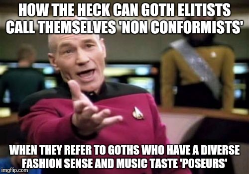 Picard Wtf | HOW THE HECK CAN GOTH ELITISTS CALL THEMSELVES 'NON CONFORMISTS'; WHEN THEY REFER TO GOTHS WHO HAVE A DIVERSE FASHION SENSE AND MUSIC TASTE 'POSEURS' | image tagged in memes,picard wtf | made w/ Imgflip meme maker