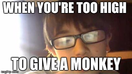WHEN YOU'RE TOO HIGH; TO GIVE A MONKEY | image tagged in that moment | made w/ Imgflip meme maker
