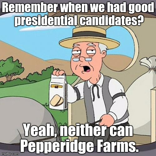 Pepperidge Farm Remembers Meme | Remember when we had good presidential candidates? Yeah, neither can Pepperidge Farms. | image tagged in memes,pepperidge farm remembers | made w/ Imgflip meme maker