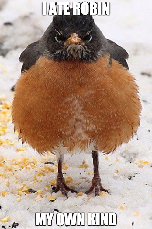 Evil robin  | I ATE ROBIN; MY OWN KIND | image tagged in evil robin | made w/ Imgflip meme maker