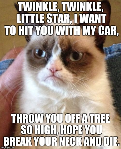 Grumpy Cat Meme | TWINKLE, TWINKLE, LITTLE STAR, I WANT TO HIT YOU WITH MY CAR, THROW YOU OFF A TREE SO HIGH, HOPE YOU BREAK YOUR NECK AND DIE. | image tagged in memes,grumpy cat | made w/ Imgflip meme maker