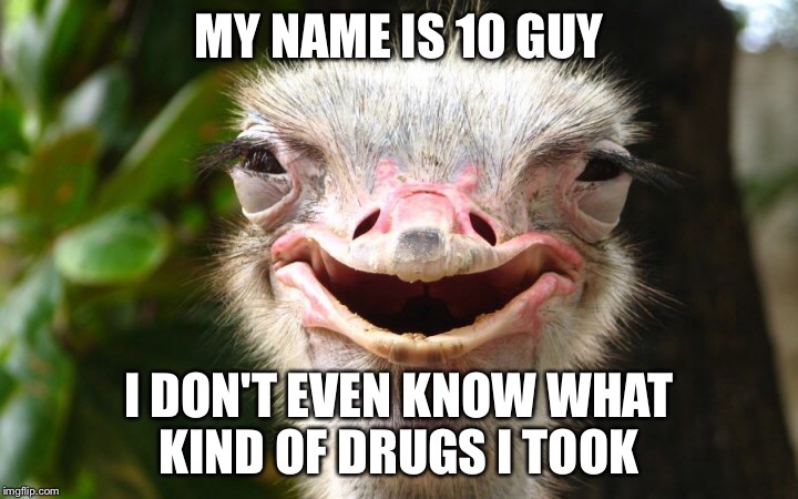 MY NAME IS 10 GUY; I DON'T EVEN KNOW WHAT KIND OF DRUGS I TOOK | image tagged in 10 guy ostrich | made w/ Imgflip meme maker