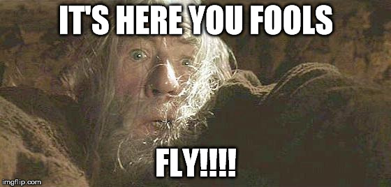 Gandalf Fly You Fools | IT'S HERE YOU FOOLS; FLY!!!! | image tagged in gandalf fly you fools | made w/ Imgflip meme maker
