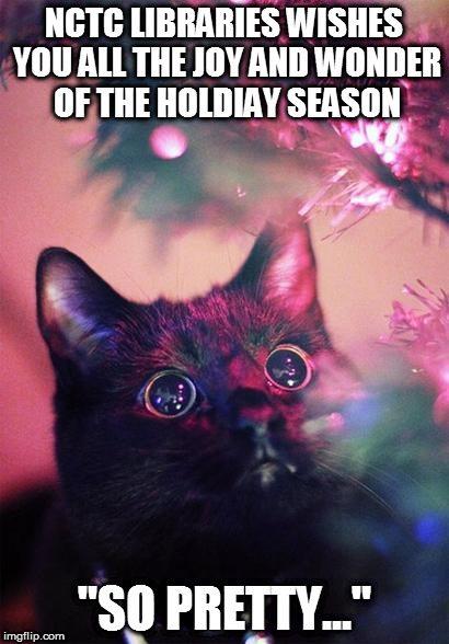 Christmas Cat | NCTC LIBRARIES WISHES YOU ALL THE JOY AND WONDER OF THE HOLDIAY SEASON; "SO PRETTY..." | image tagged in christmas cat | made w/ Imgflip meme maker
