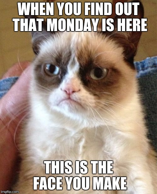 Grumpy Cat | WHEN YOU FIND OUT THAT MONDAY IS HERE; THIS IS THE FACE YOU MAKE | image tagged in memes,grumpy cat | made w/ Imgflip meme maker