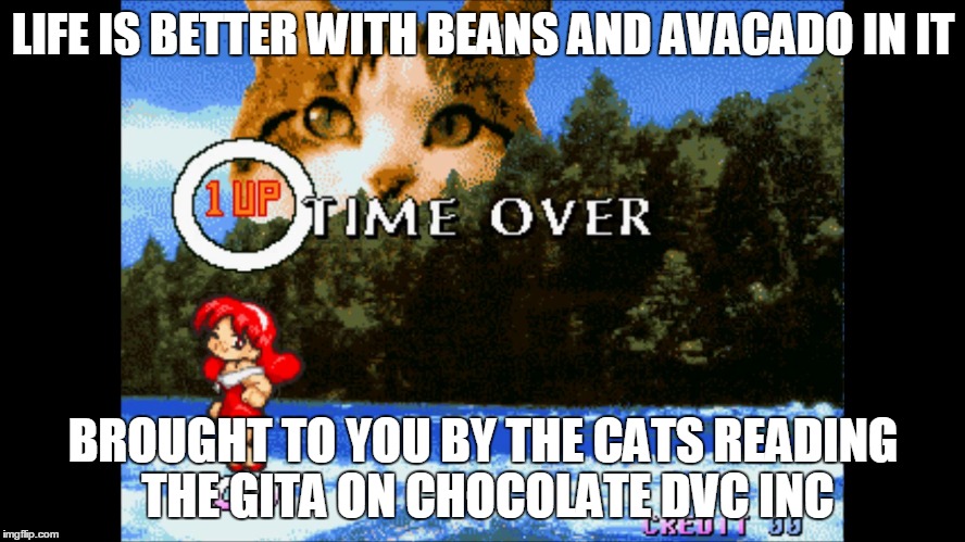 Life IS Better | LIFE IS BETTER WITH BEANS AND AVACADO IN IT; BROUGHT TO YOU BY THE CATS READING THE GITA ON CHOCOLATE DVC INC | image tagged in life cats beans avacado | made w/ Imgflip meme maker