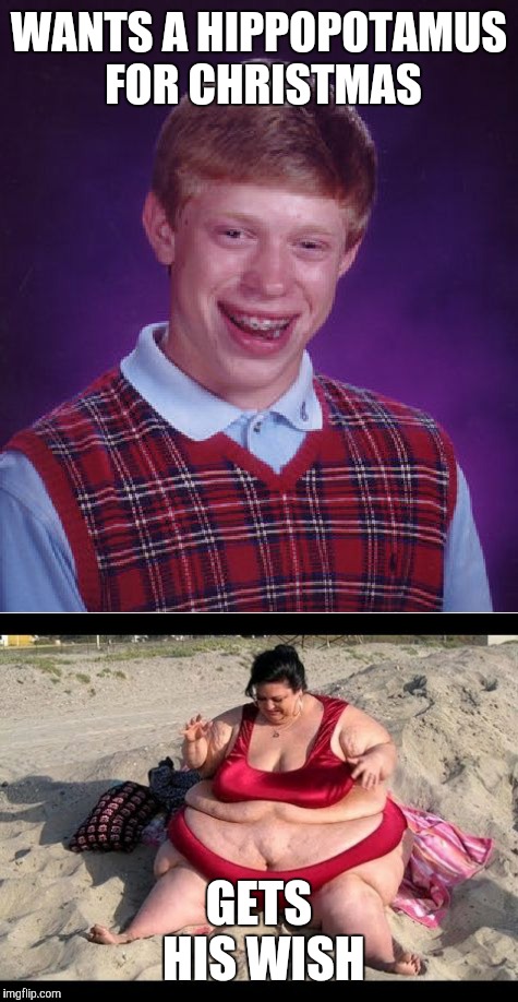 WANTS A HIPPOPOTAMUS FOR CHRISTMAS; GETS HIS WISH | image tagged in i want a hippopotamus,christmas,bad luck brian | made w/ Imgflip meme maker