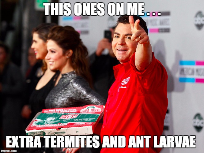 THIS ONES ON ME . . . EXTRA TERMITES AND ANT LARVAE | made w/ Imgflip meme maker
