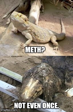 don't do drugs, kids. | METH? NOT EVEN ONCE. | image tagged in scp meme,drugs,memes | made w/ Imgflip meme maker