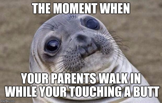 Awkward Moment Sealion | THE MOMENT WHEN; YOUR PARENTS WALK IN WHILE YOUR TOUCHING A BUTT | image tagged in memes,awkward moment sealion | made w/ Imgflip meme maker