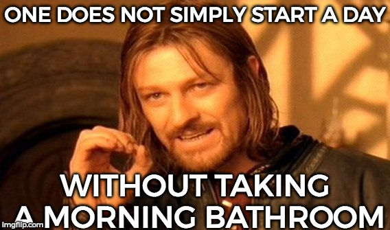 One Does Not Simply | ONE DOES NOT SIMPLY START A DAY; WITHOUT TAKING A MORNING BATHROOM | image tagged in memes,one does not simply | made w/ Imgflip meme maker