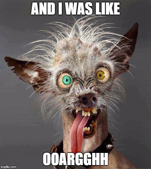 ugly dog 2.0 | AND I WAS LIKE; OOARGGHH | image tagged in ugly dog 20 | made w/ Imgflip meme maker