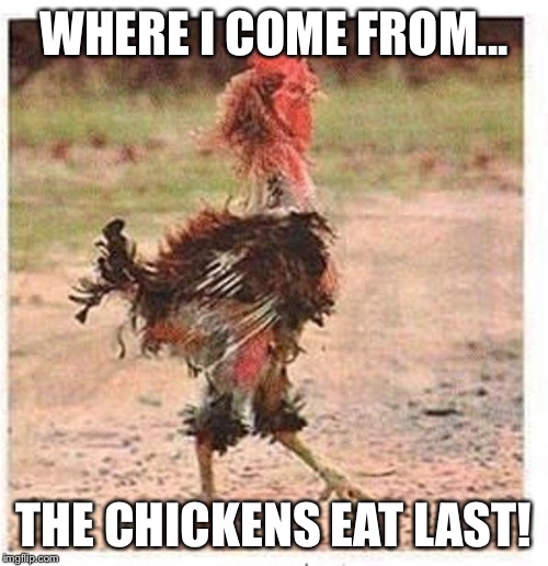 mangled chicken | WHERE I COME FROM... THE CHICKENS EAT LAST! | image tagged in mangled chicken | made w/ Imgflip meme maker