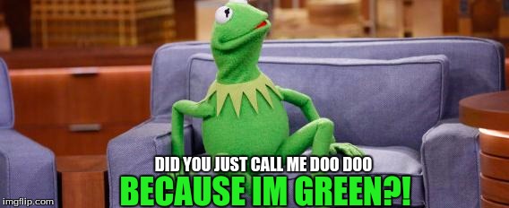 kermit couch | DID YOU JUST CALL ME DOO DOO; BECAUSE IM GREEN?! | image tagged in kermit couch | made w/ Imgflip meme maker