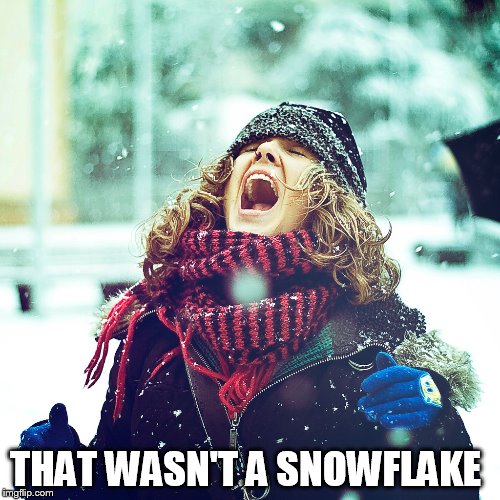 THAT WASN'T A SNOWFLAKE | made w/ Imgflip meme maker