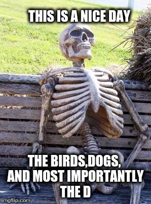 Waiting Skeleton Meme | THIS IS A NICE DAY; THE BIRDS,DOGS, AND MOST IMPORTANTLY THE D | image tagged in memes,waiting skeleton | made w/ Imgflip meme maker