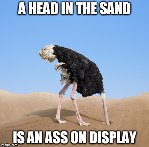 Ostrich | A HEAD IN THE SAND; IS AN ASS ON DISPLAY | image tagged in ostrich | made w/ Imgflip meme maker