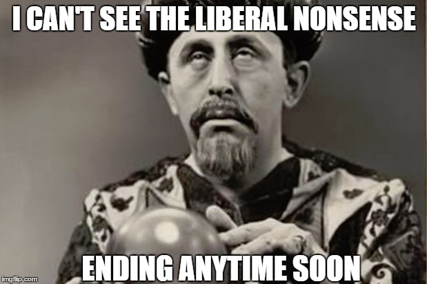 I CAN'T SEE THE LIBERAL NONSENSE ENDING ANYTIME SOON | made w/ Imgflip meme maker