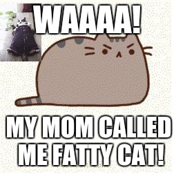Pusheen (angry) | WAAAA! MY MOM CALLED ME FATTY CAT! | image tagged in pusheen angry | made w/ Imgflip meme maker