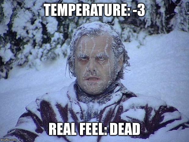 Jack Nicholson The Shining Snow Meme | TEMPERATURE: -3; REAL FEEL: DEAD | image tagged in memes,jack nicholson the shining snow | made w/ Imgflip meme maker