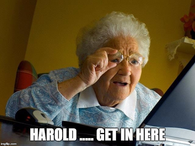 Grandma Finds The Internet Meme | HAROLD ..... GET IN HERE | image tagged in memes,grandma finds the internet | made w/ Imgflip meme maker