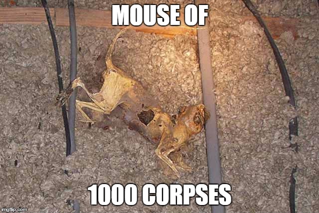 Mouse of 1000 Corpses | MOUSE OF; 1000 CORPSES | image tagged in mouse,house of 1000 corpses | made w/ Imgflip meme maker