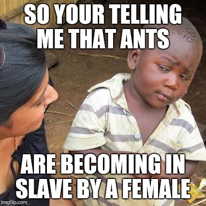 Third World Skeptical Kid | SO YOUR TELLING ME THAT ANTS; ARE BECOMING IN SLAVE BY A FEMALE | image tagged in memes,third world skeptical kid | made w/ Imgflip meme maker