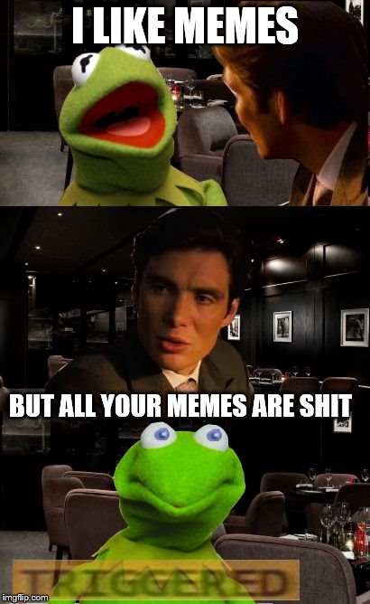 Kermit Triggered | I LIKE MEMES; BUT ALL YOUR MEMES ARE SHIT | image tagged in kermit triggered | made w/ Imgflip meme maker