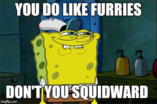 Don't You Squidward Meme | YOU DO LIKE FURRIES; DON'T YOU SQUIDWARD | image tagged in memes,dont you squidward | made w/ Imgflip meme maker