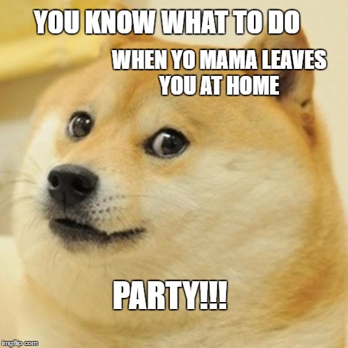 Doge Meme | YOU KNOW WHAT TO DO; WHEN YO MAMA LEAVES YOU AT HOME; PARTY!!! | image tagged in memes,doge | made w/ Imgflip meme maker