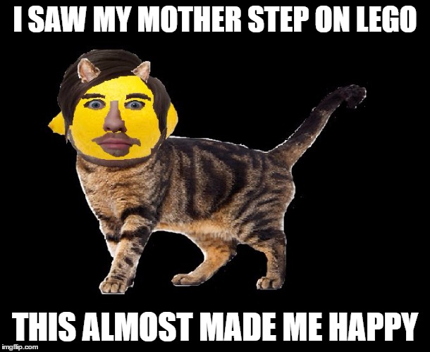 Lemon Cat | I SAW MY MOTHER STEP ON LEGO; THIS ALMOST MADE ME HAPPY | image tagged in lemon cat | made w/ Imgflip meme maker