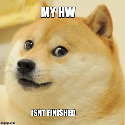 Doge | MY HW; ISNT FINISHED | image tagged in memes,doge | made w/ Imgflip meme maker
