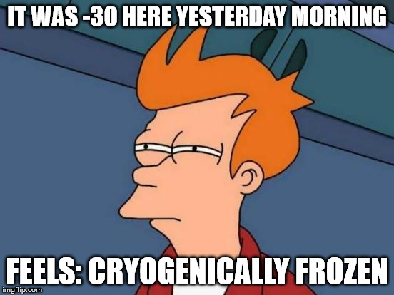 Futurama Fry Reverse | IT WAS -30 HERE YESTERDAY MORNING FEELS: CRYOGENICALLY FROZEN | image tagged in futurama fry reverse | made w/ Imgflip meme maker
