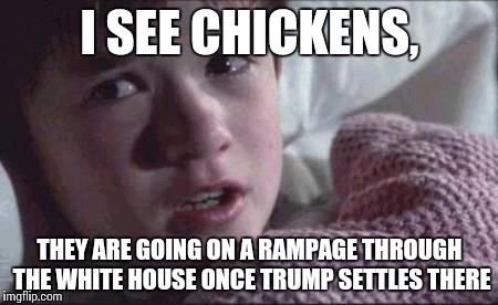 I See Dead People Meme | I SEE CHICKENS, THEY ARE GOING ON A RAMPAGE THROUGH THE WHITE HOUSE ONCE TRUMP SETTLES THERE | image tagged in memes,i see dead people | made w/ Imgflip meme maker