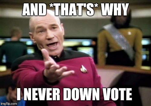 Picard Wtf Meme | AND *THAT'S* WHY I NEVER DOWN VOTE | image tagged in memes,picard wtf | made w/ Imgflip meme maker