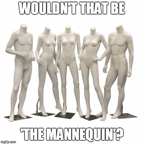 WOULDN'T THAT BE 'THE MANNEQUIN'? | made w/ Imgflip meme maker