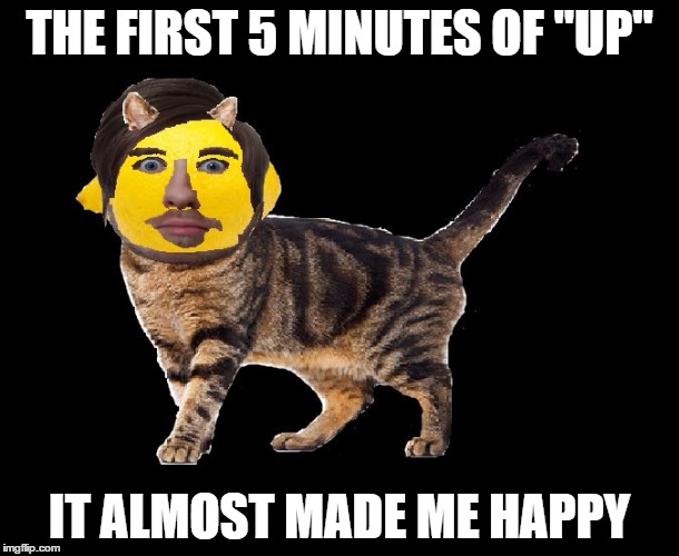 Lemon Cat | THE FIRST 5 MINUTES OF "UP"; IT ALMOST MADE ME HAPPY | image tagged in lemon cat | made w/ Imgflip meme maker
