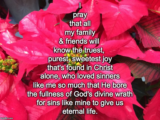 I; pray; that all; my family; & friends will; know the truest, purest, sweetest joy; that's found in Christ; alone, who loved sinners; like me so much that He bore; the fullness of God's divine wrath; for sins like mine to give us; eternal life. | image tagged in christmas prayer | made w/ Imgflip meme maker