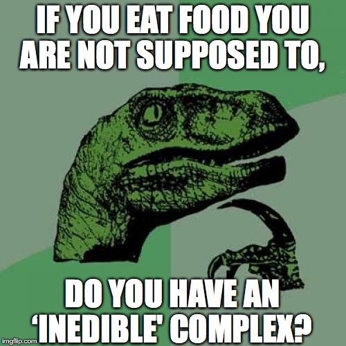 Philosoraptor | IF YOU EAT FOOD YOU ARE NOT SUPPOSED TO, DO YOU HAVE AN ‘INEDIBLE' COMPLEX? | image tagged in memes,philosoraptor | made w/ Imgflip meme maker