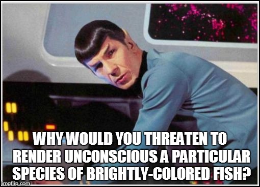 WHY WOULD YOU THREATEN TO RENDER UNCONSCIOUS A PARTICULAR SPECIES OF BRIGHTLY-COLORED FISH? | made w/ Imgflip meme maker