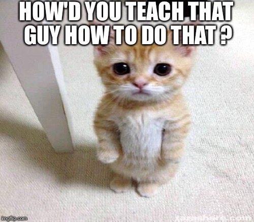 HOW'D YOU TEACH THAT GUY HOW TO DO THAT ? | made w/ Imgflip meme maker