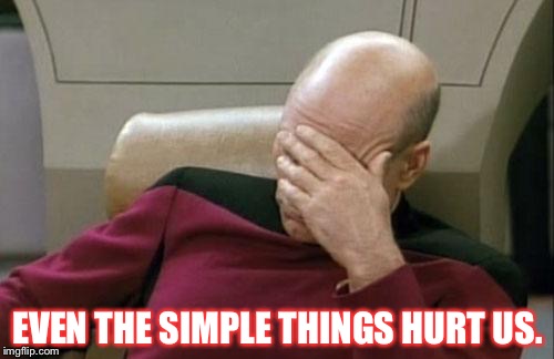 Captain Picard Facepalm Meme | EVEN THE SIMPLE THINGS HURT US. | image tagged in memes,captain picard facepalm | made w/ Imgflip meme maker