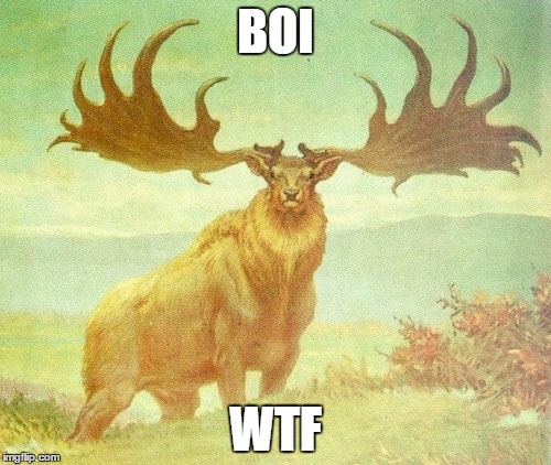 Boi Elk | BOI; WTF | image tagged in boi elk | made w/ Imgflip meme maker