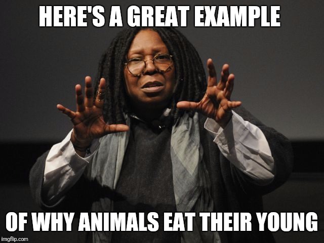 Whoopi Goldberg Crazy | HERE'S A GREAT EXAMPLE; OF WHY ANIMALS EAT THEIR YOUNG | image tagged in whoopi goldberg crazy | made w/ Imgflip meme maker