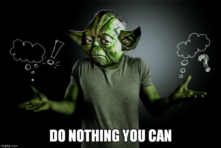 yoda shrug | DO NOTHING YOU CAN | image tagged in yoda shrug | made w/ Imgflip meme maker