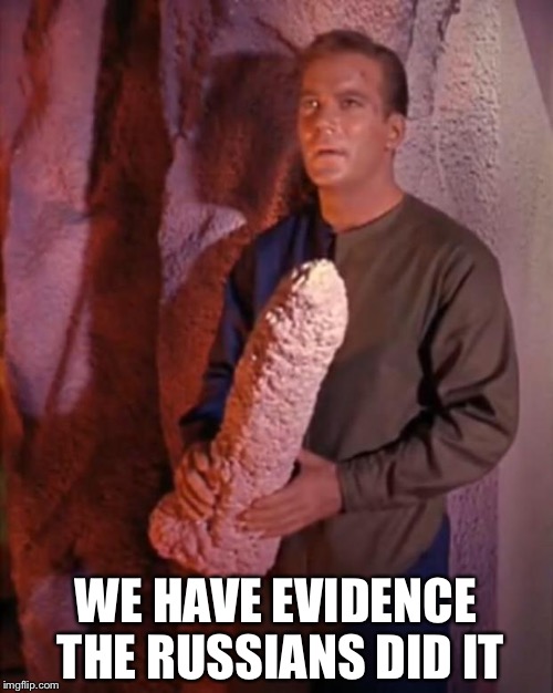 Kirk dildo | WE HAVE EVIDENCE THE RUSSIANS DID IT | image tagged in kirk dildo | made w/ Imgflip meme maker