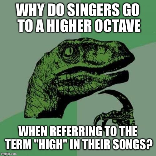 Philosoraptor | WHY DO SINGERS GO TO A HIGHER OCTAVE; WHEN REFERRING TO THE TERM "HIGH" IN THEIR SONGS? | image tagged in memes,philosoraptor | made w/ Imgflip meme maker