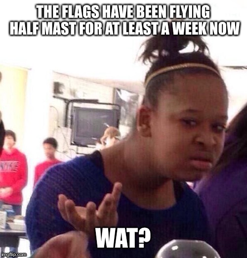 Black Girl Wat Meme | THE FLAGS HAVE BEEN FLYING HALF MAST FOR AT LEAST A WEEK NOW; WAT? | image tagged in memes,black girl wat | made w/ Imgflip meme maker